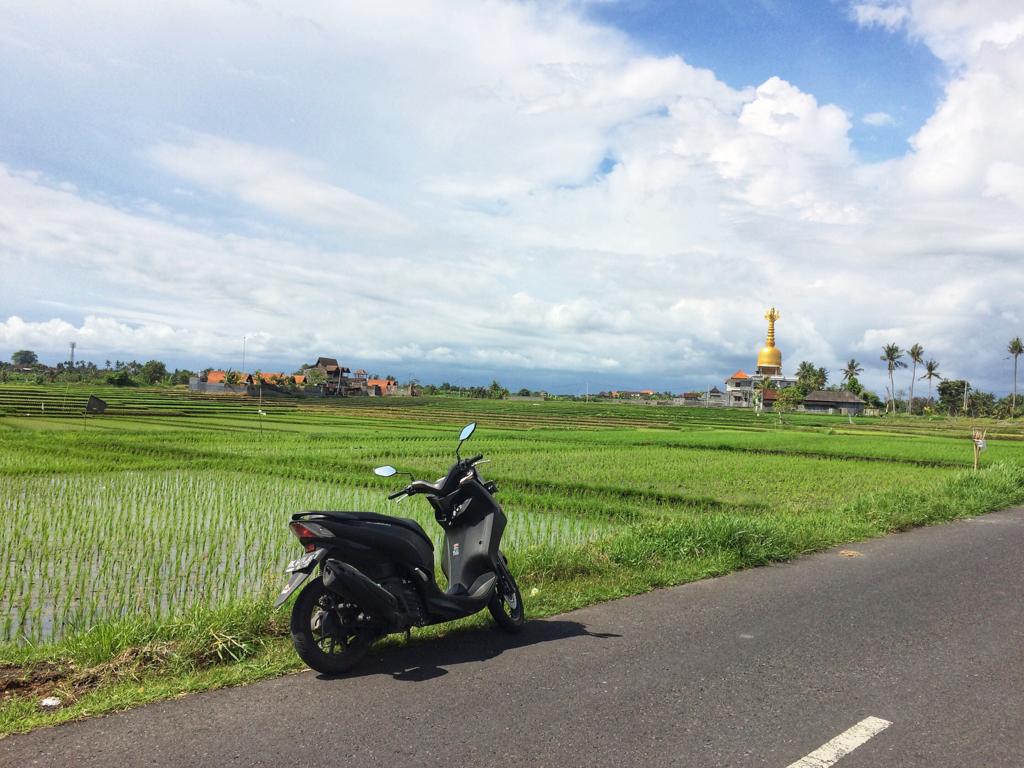 Sewa Motor Di Bali