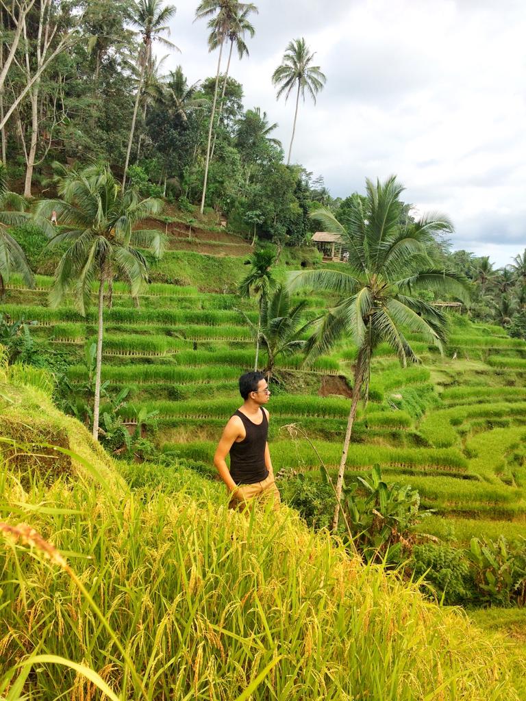 Tegalalang Rice Terrace Ubud Bali