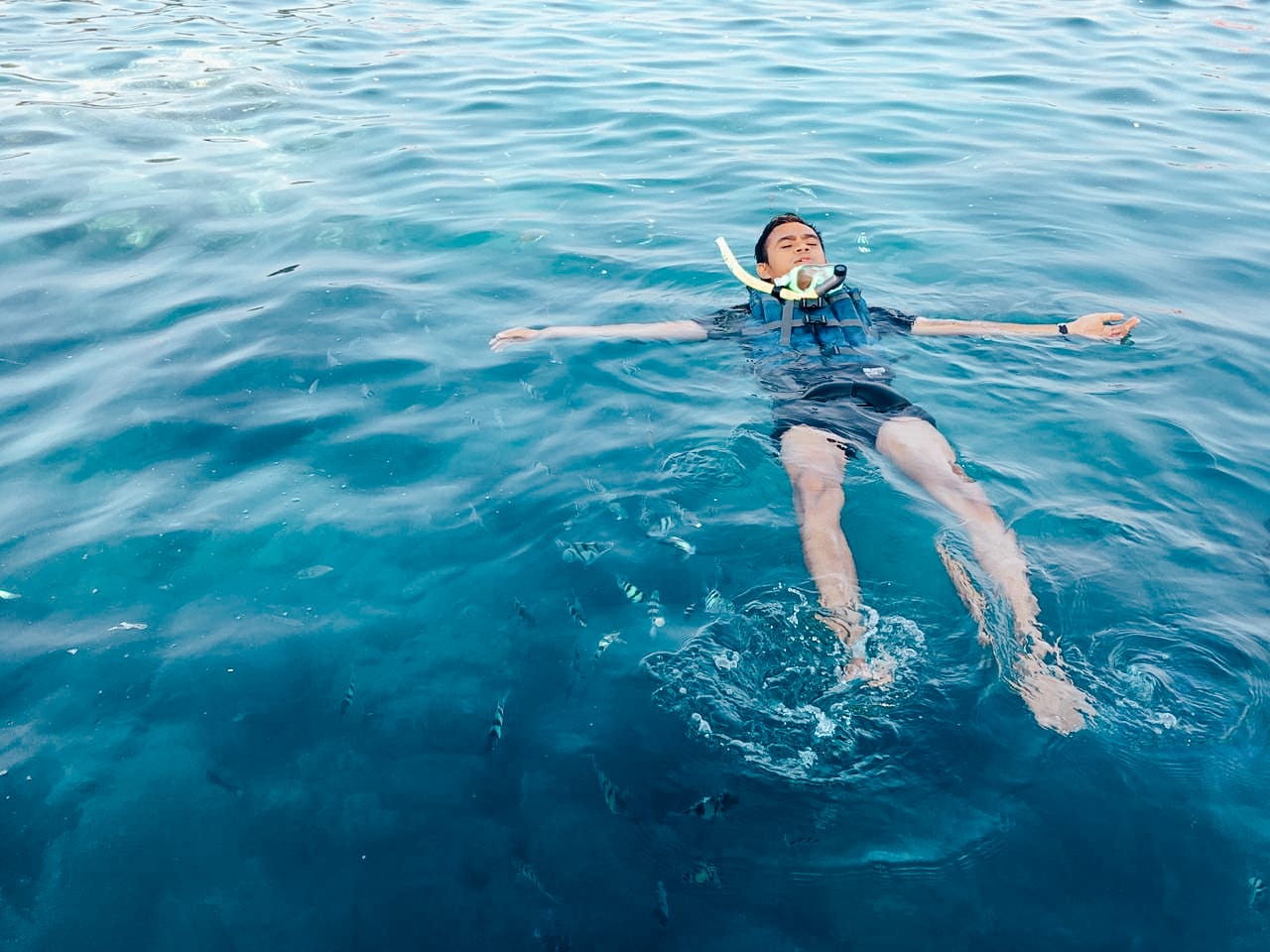 Snorkeling Di Pulau Bintang