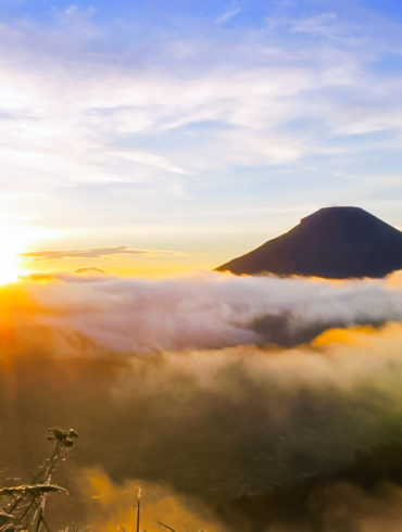 Destinasi Wisata Wonosobo